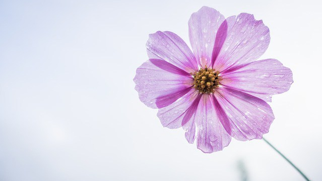 Persönlichkeitsentwicklung mit Begleitung